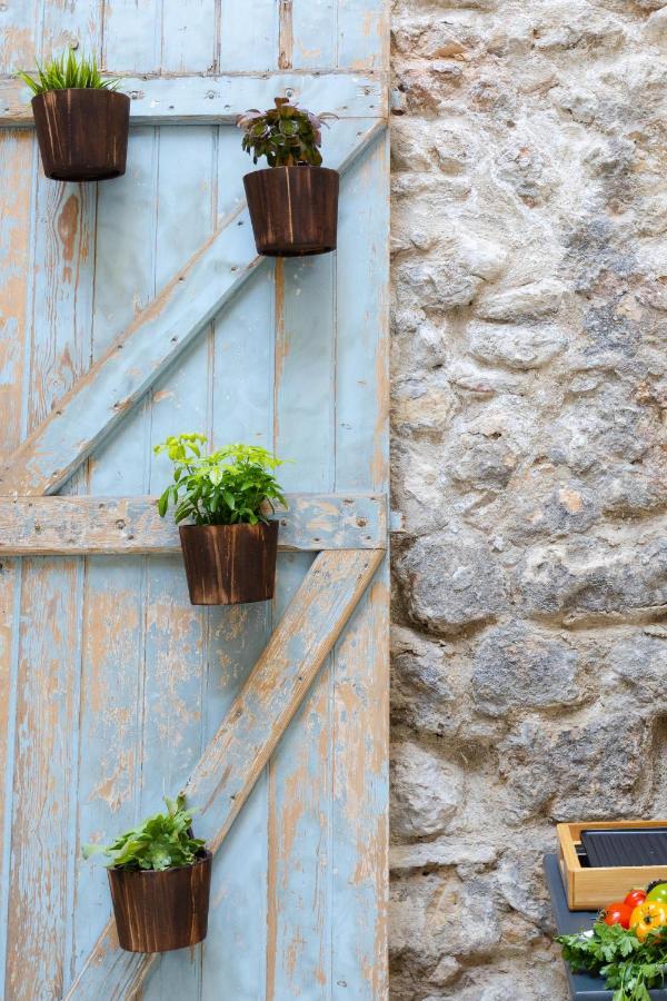 Jardin Secret Studio Terrasse Panier Vieux-Port Marseille Bagian luar foto